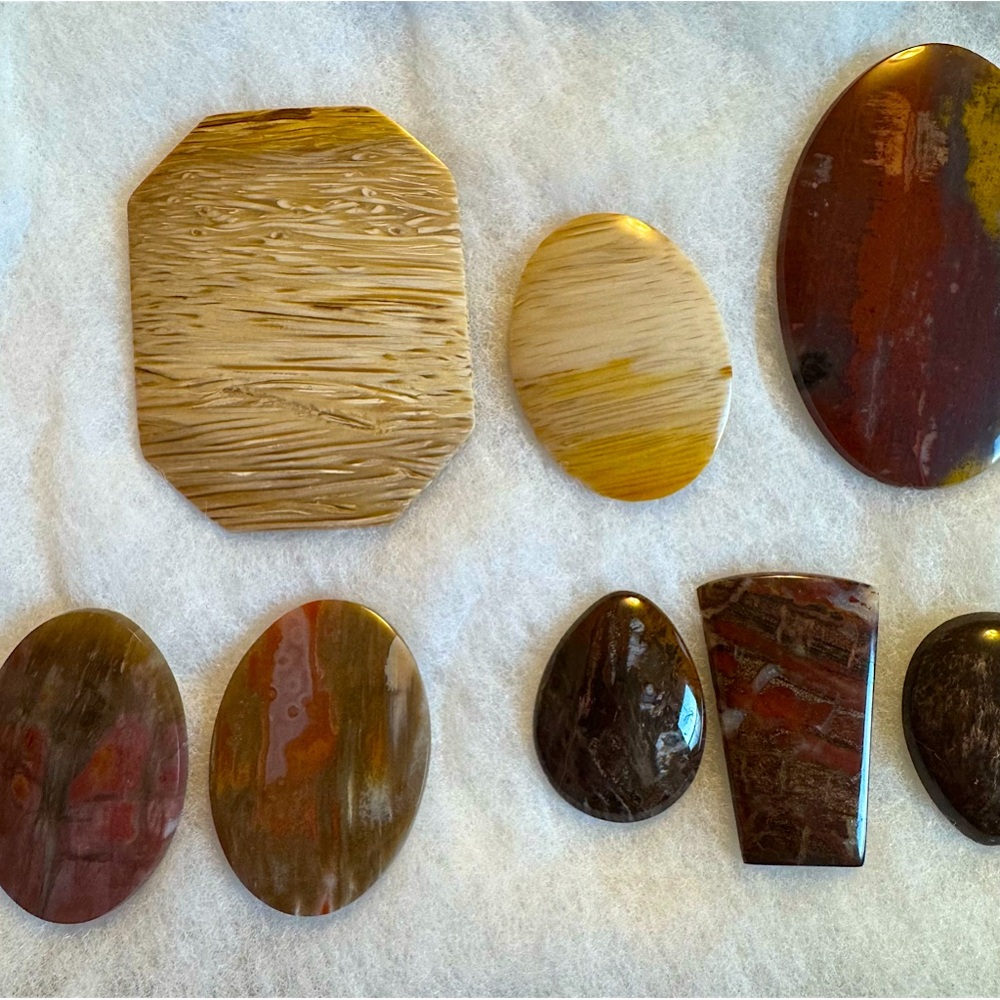 Petrified Wood Cabachons Part 1